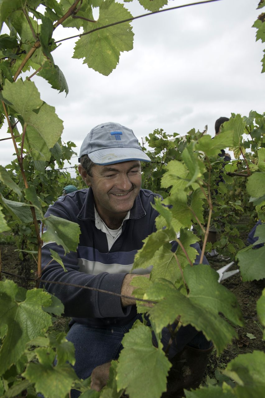 Vins Vigneron Denis Benoit DenisBenoit2
